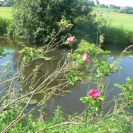 Gite De L'Aure Trevieres Zewnętrze zdjęcie