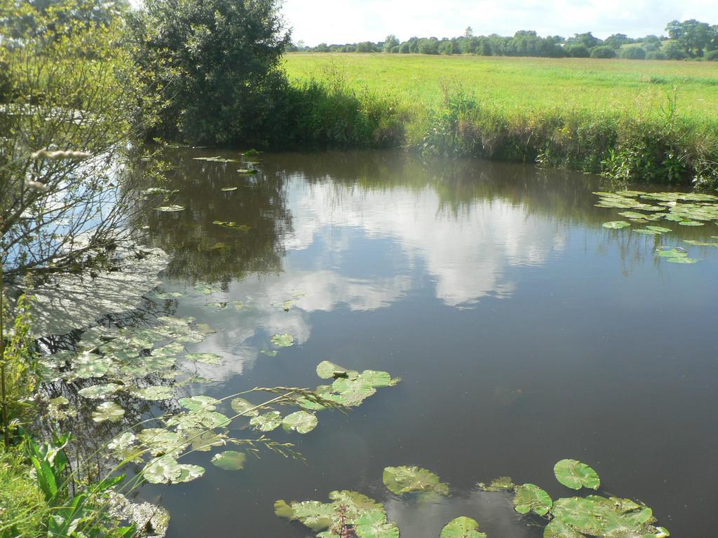 Gite De L'Aure Trevieres Zewnętrze zdjęcie