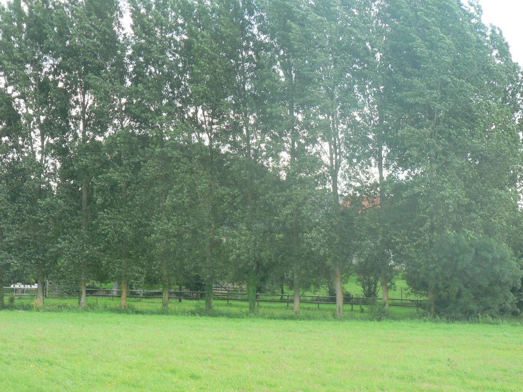 Gite De L'Aure Trevieres Zewnętrze zdjęcie