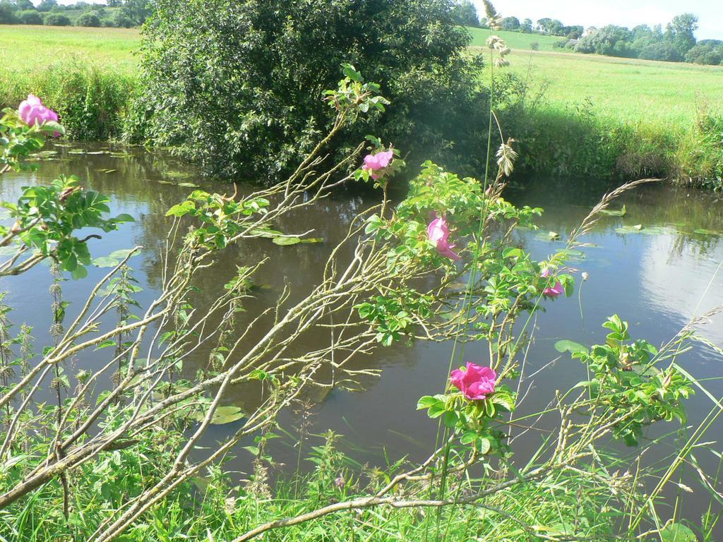 Gite De L'Aure Trevieres Zewnętrze zdjęcie