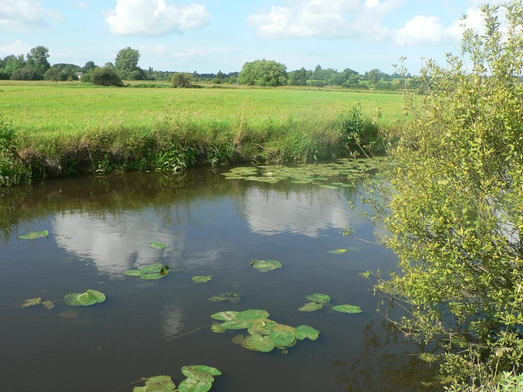 Gite De L'Aure Trevieres Zewnętrze zdjęcie